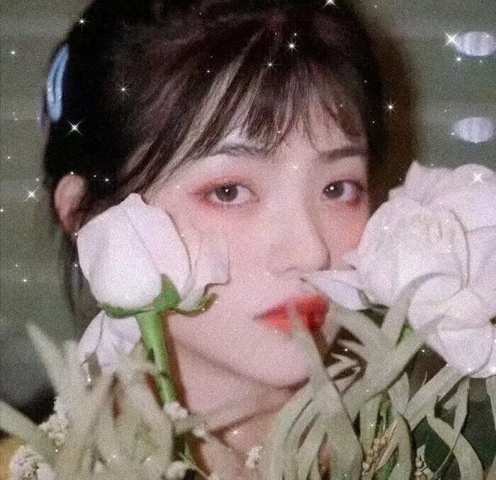 血麒麟之关东宝藏